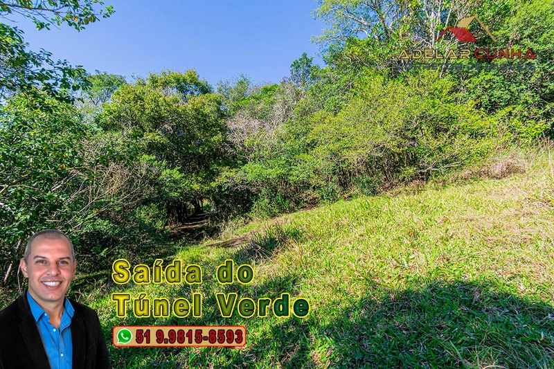 Chácara com 4.8 hectares à VENDA em Lomba Grande - Novo Hamburgo - RS: 12ª foto da galeria de imagens do imóvel