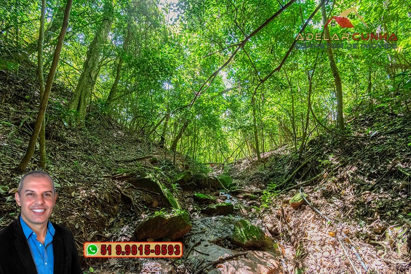 Chácara com 4.8 hectares à VENDA em Lomba Grande - Novo Hamburgo - RS: 34ª foto da galeria de imagens do imóvel