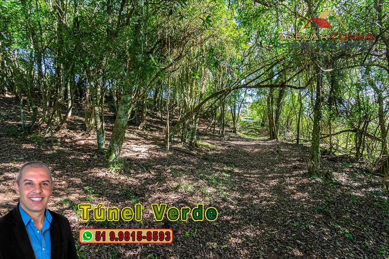 Chácara com 4.8 hectares à VENDA em Lomba Grande - Novo Hamburgo - RS: 8ª foto da galeria de imagens do imóvel