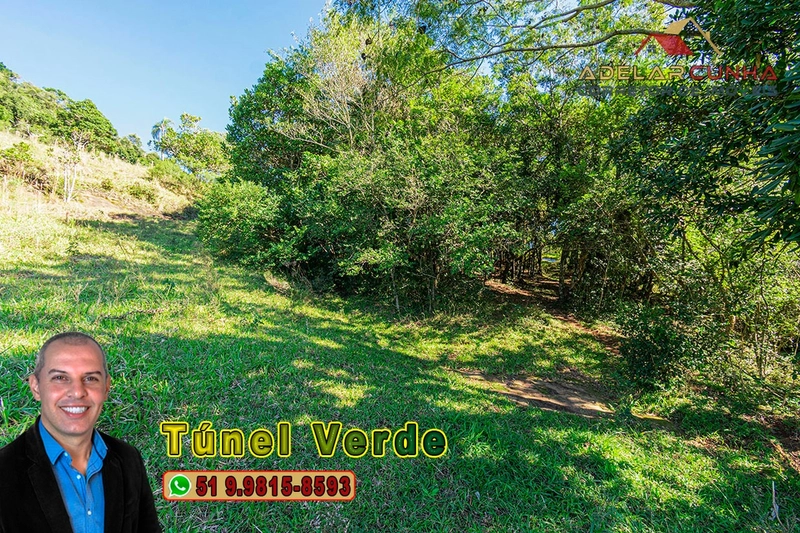 Chácara com 4.8 hectares à VENDA em Lomba Grande - Novo Hamburgo - RS: 7ª foto da galeria de imagens do imóvel