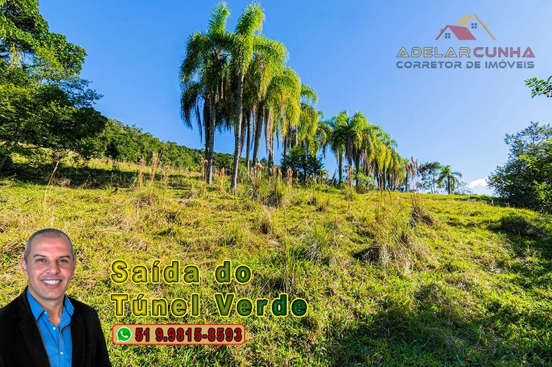 Chácara com 4.8 hectares à VENDA em Lomba Grande - Novo Hamburgo - RS: 11ª foto da galeria de imagens do imóvel