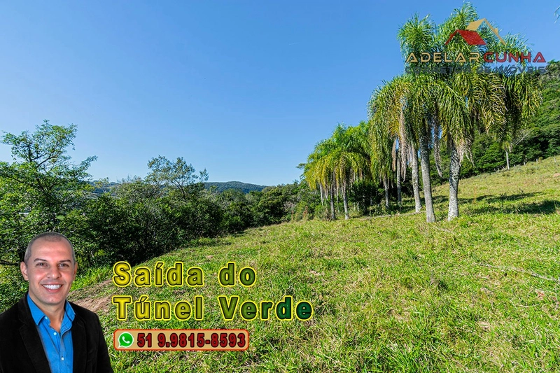 Chácara com 4.8 hectares à VENDA em Lomba Grande - Novo Hamburgo - RS: 13ª foto da galeria de imagens do imóvel