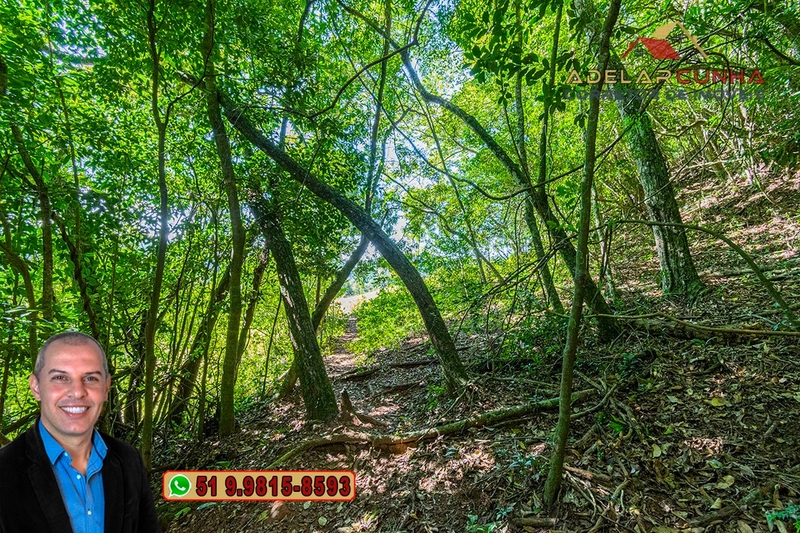 Chácara com 4.8 hectares à VENDA em Lomba Grande - Novo Hamburgo - RS: 35ª foto da galeria de imagens do imóvel