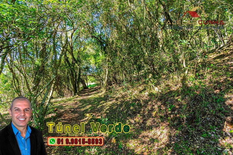 Chácara com 4.8 hectares à VENDA em Lomba Grande - Novo Hamburgo - RS: 9ª foto da galeria de imagens do imóvel
