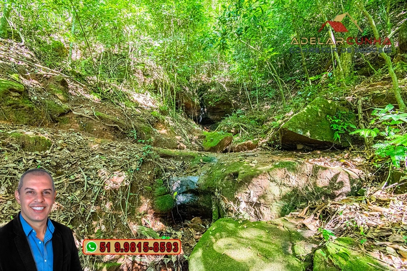 Chácara com 4.8 hectares à VENDA em Lomba Grande - Novo Hamburgo - RS: 31ª foto da galeria de imagens do imóvel
