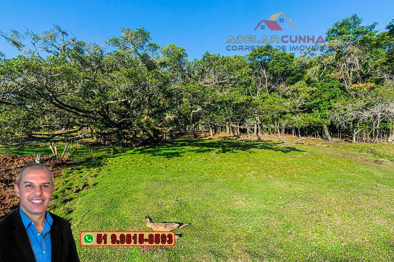 Chácara de 3 Hectares à VENDA em Três Coroas – RS: 12ª foto da galeria de imagens do imóvel