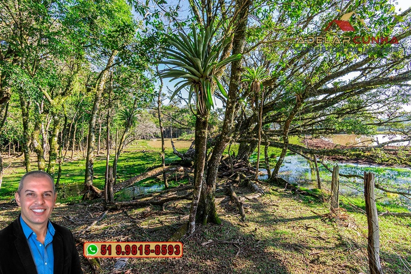 Chácara de 3 Hectares à VENDA em Três Coroas – RS: 6ª foto da galeria de imagens do imóvel