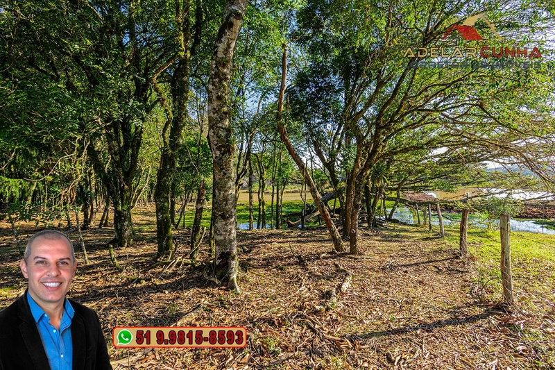 Chácara de 3 Hectares à VENDA em Três Coroas – RS: 5ª foto da galeria de imagens do imóvel
