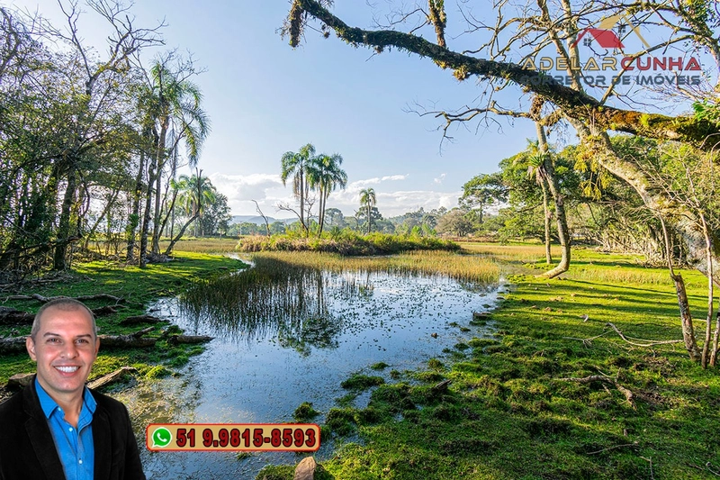 Chácara de 3 Hectares à VENDA em Três Coroas – RS: 31ª foto da galeria de imagens do imóvel