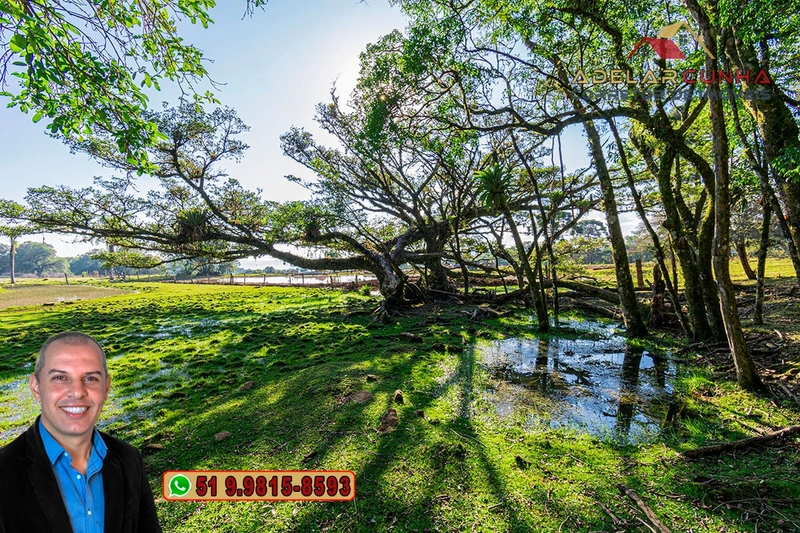 Chácara de 3 Hectares à VENDA em Três Coroas – RS: 7ª foto da galeria de imagens do imóvel