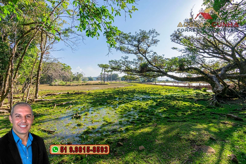 Chácara de 3 Hectares à VENDA em Três Coroas – RS: 8ª foto da galeria de imagens do imóvel