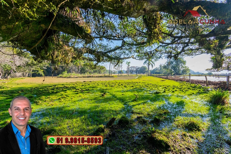 Chácara de 3 Hectares à VENDA em Três Coroas – RS: 10ª foto da galeria de imagens do imóvel