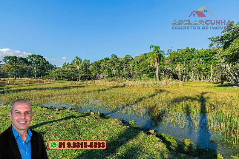 Chácara de 3 Hectares à VENDA em Três Coroas – RS: 16ª foto da galeria de imagens do imóvel