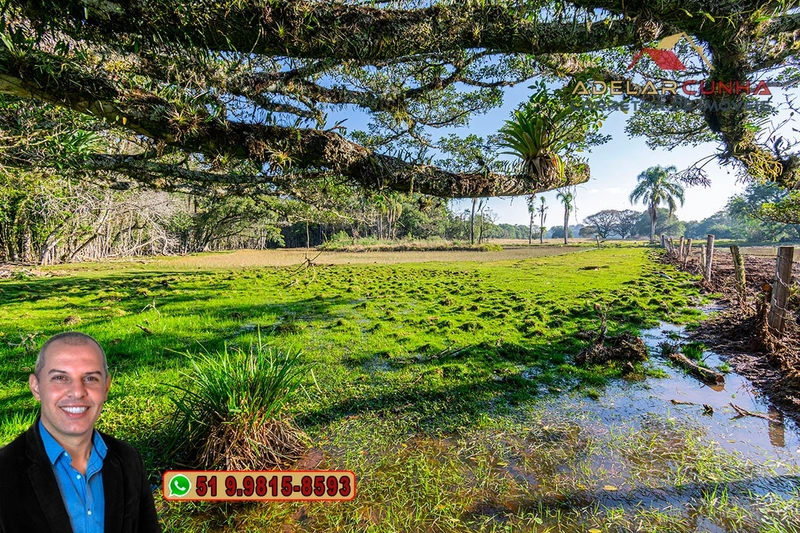 Chácara de 3 Hectares à VENDA em Três Coroas – RS: 11ª foto da galeria de imagens do imóvel