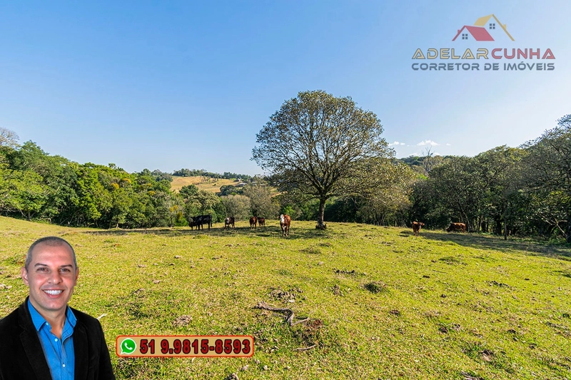 Chácara de 3.7 Hectares à VENDA em Três Coroas – RS: 18ª foto da galeria de imagens do imóvel