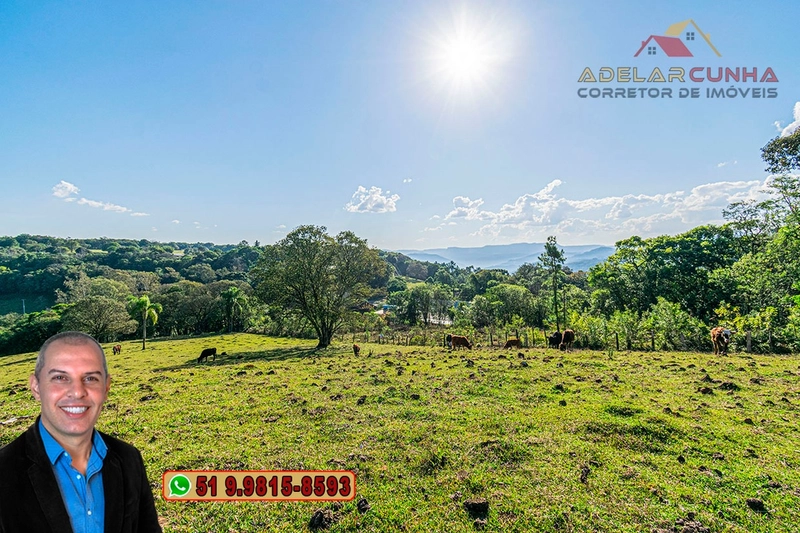 Chácara de 3.7 Hectares à VENDA em Três Coroas – RS: 8ª foto da galeria de imagens do imóvel