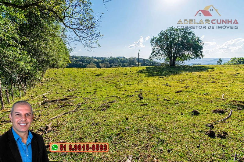 Chácara de 3.7 Hectares à VENDA em Três Coroas – RS: 5ª foto da galeria de imagens do imóvel