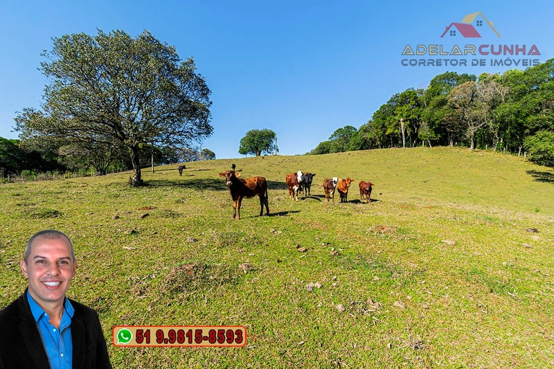 Chácara de 3.7 Hectares à VENDA em Três Coroas – RS: 19ª foto da galeria de imagens do imóvel