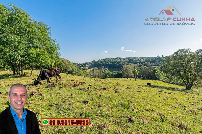 Chácara de 3.7 Hectares à VENDA em Três Coroas – RS: 9ª foto da galeria de imagens do imóvel