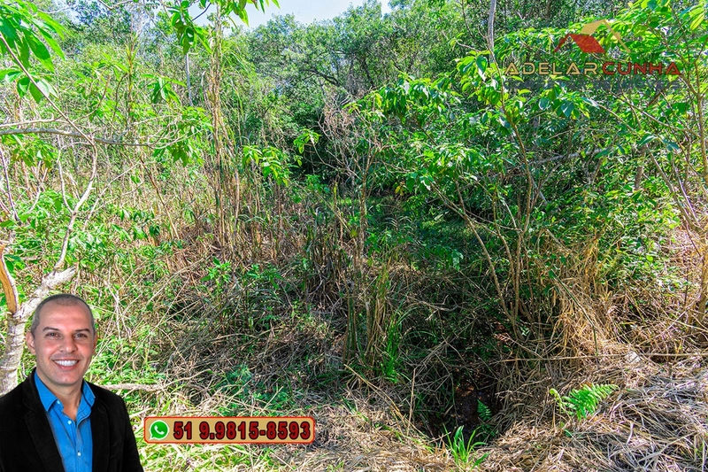 Chácara à VENDA em Nova Hartz - RS: 22ª foto da galeria de imagens do imóvel