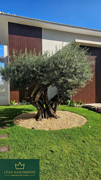 Jardins Munique: 2ª foto da galeria de imagens do imóvel