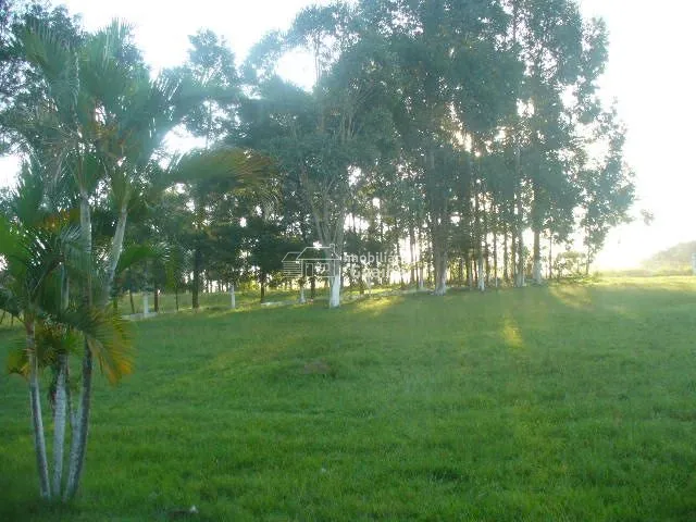 : 7ª foto da galeria de imagens do imóvel