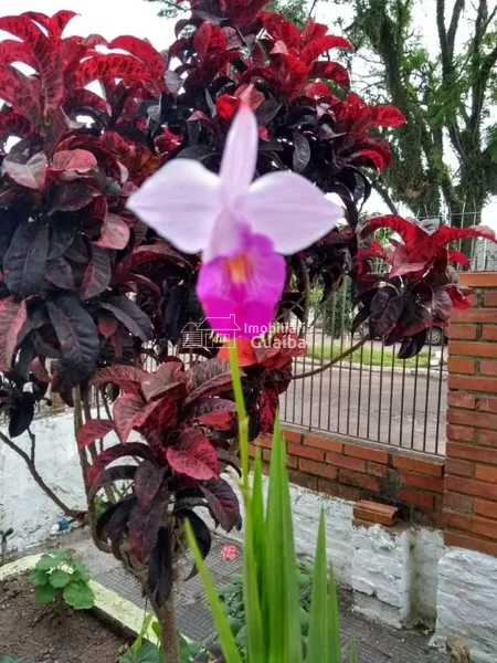 CASA EM EXCELENTE LOCALIZAÇÃO - BAIRRO FÁTIMA: 2ª foto da galeria de imagens do imóvel