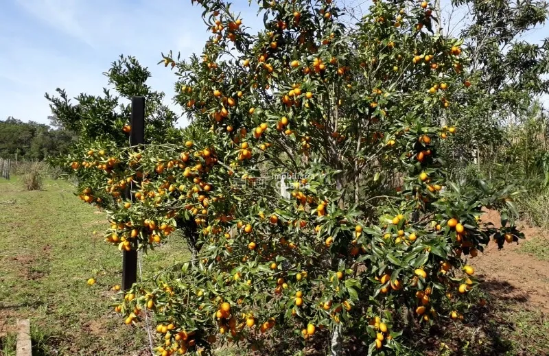 Magnifica propriedade Rural!: 15ª foto da galeria de imagens do imóvel