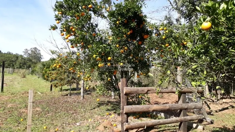 Magnifica propriedade Rural!: 16ª foto da galeria de imagens do imóvel