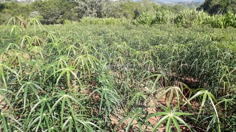 Magnifica propriedade Rural!: 17ª foto da galeria de imagens do imóvel