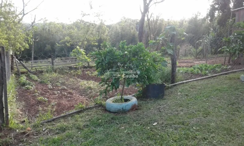 Excelente sítio: 12ª foto da galeria de imagens do imóvel