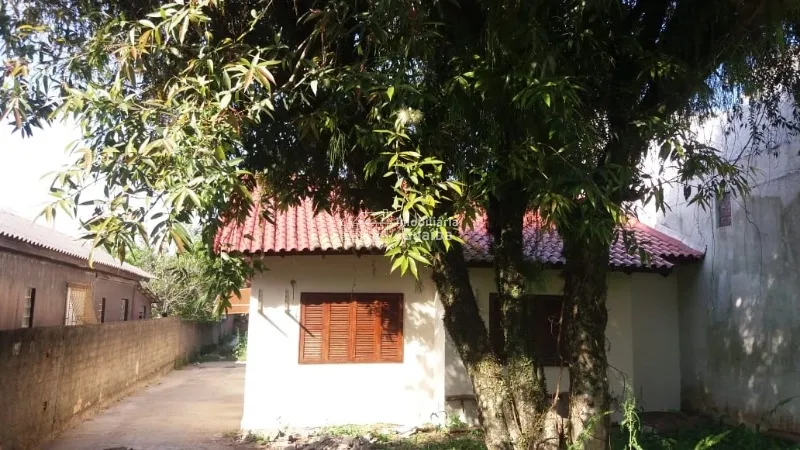 Casa em bairro arborizado: 3ª foto da galeria de imagens do imóvel