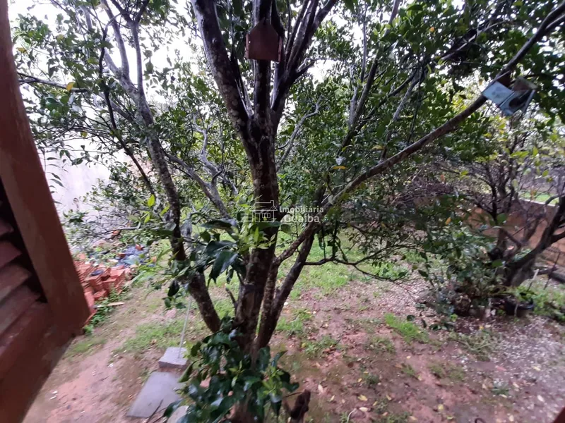 : 14ª foto da galeria de imagens do imóvel