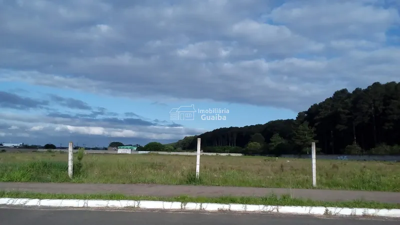 Área industrial/comercial  frente para BR 116: 1ª foto da galeria de imagens do imóvel