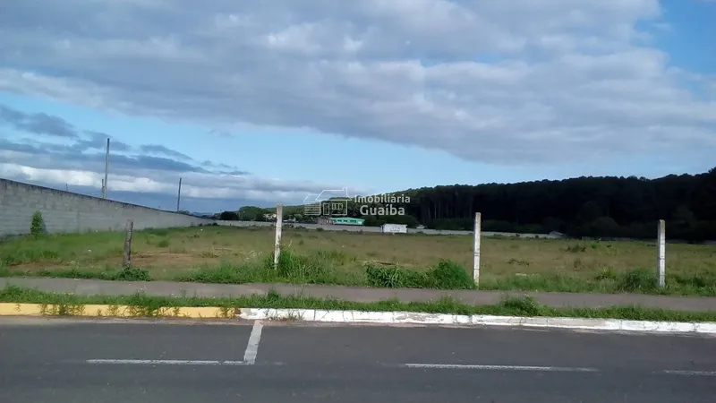 Área industrial/comercial  frente para BR 116: 2ª foto da galeria de imagens do imóvel
