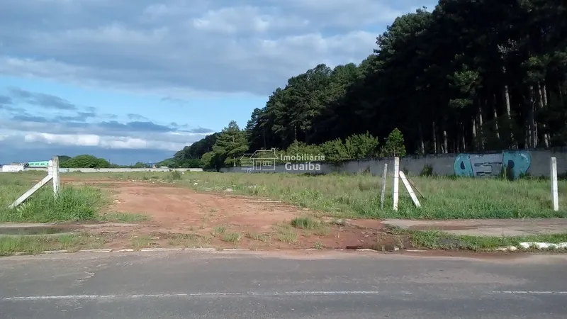 Área industrial/comercial  frente para BR 116: 4ª foto da galeria de imagens do imóvel