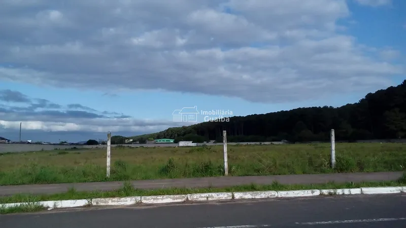Área industrial/comercial  frente para BR 116: 3ª foto da galeria de imagens do imóvel