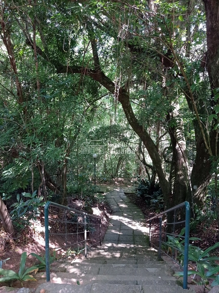 Maravilhosa casa com 387m²,lindo projeto arquitetônico!: 62ª foto da galeria de imagens do imóvel