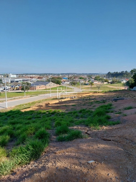 LOTEAMENTO MIRASSOL COM MAIS DE 80 LOTES MUITO BEM LOCALIZADOS: 15ª foto da galeria de imagens do imóvel