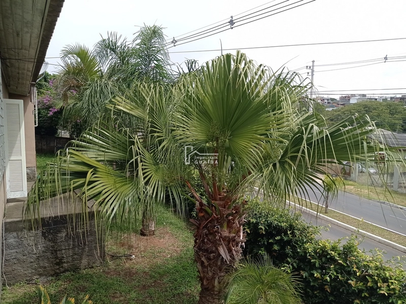 Casa de equina com peças amplas, ótima localização!: 14ª foto da galeria de imagens do imóvel