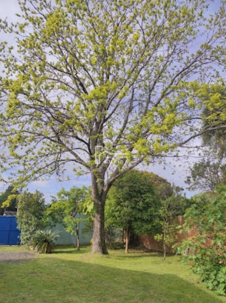 Amplo terreno em Eldorado do Sul: 3ª foto da galeria de imagens do imóvel