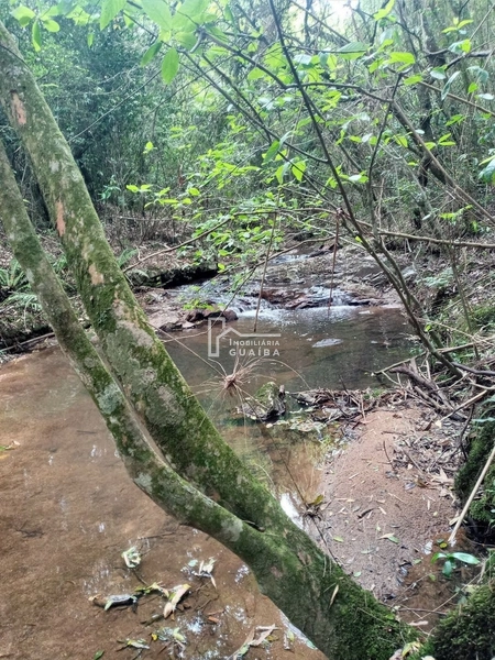 : 6ª foto da galeria de imagens do imóvel