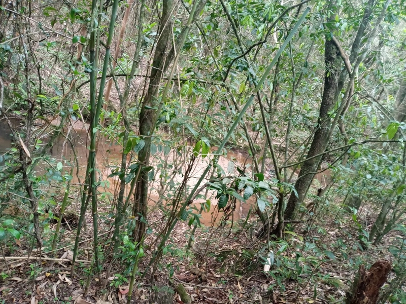 : 8ª foto da galeria de imagens do imóvel