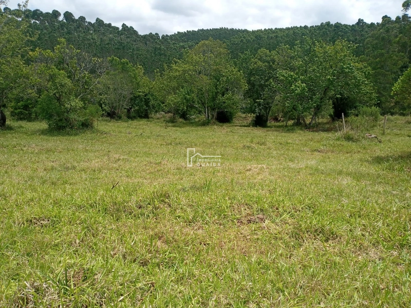 : 2ª foto da galeria de imagens do imóvel