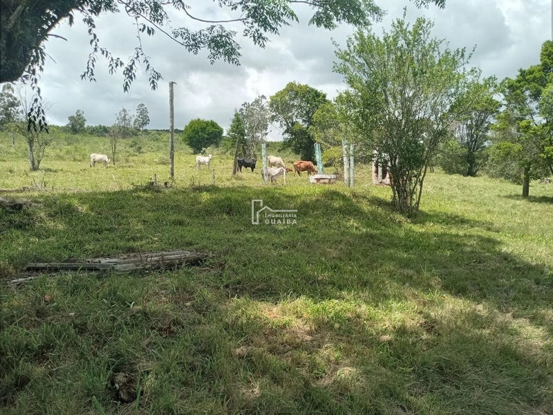 : 9ª foto da galeria de imagens do imóvel