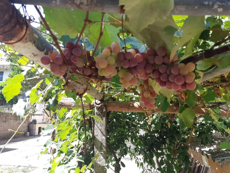 Casa ampla com excelente pátio!: 19ª foto da galeria de imagens do imóvel