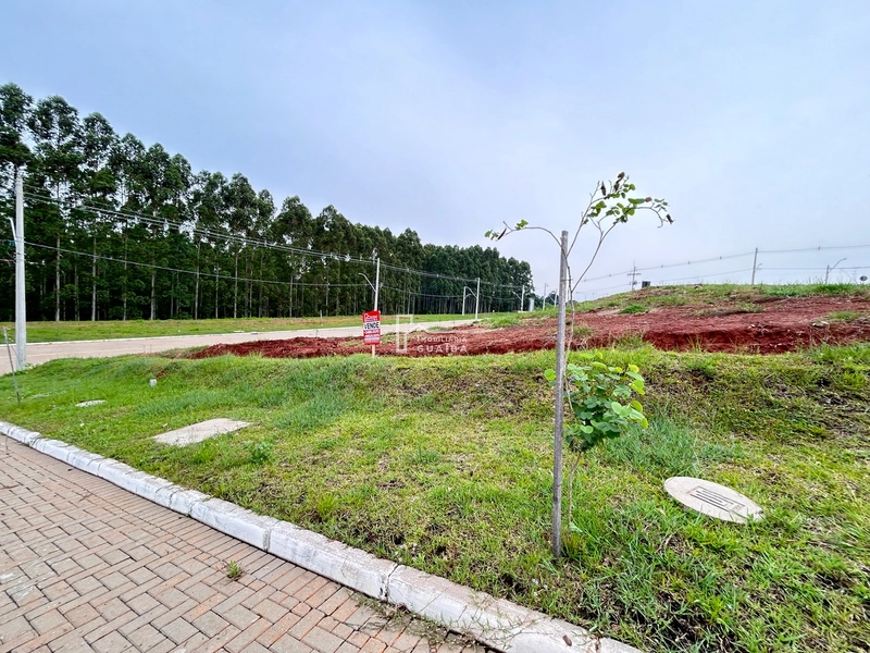 Ótimo terreno no Altos do Lago: 7ª foto da galeria de imagens do imóvel
