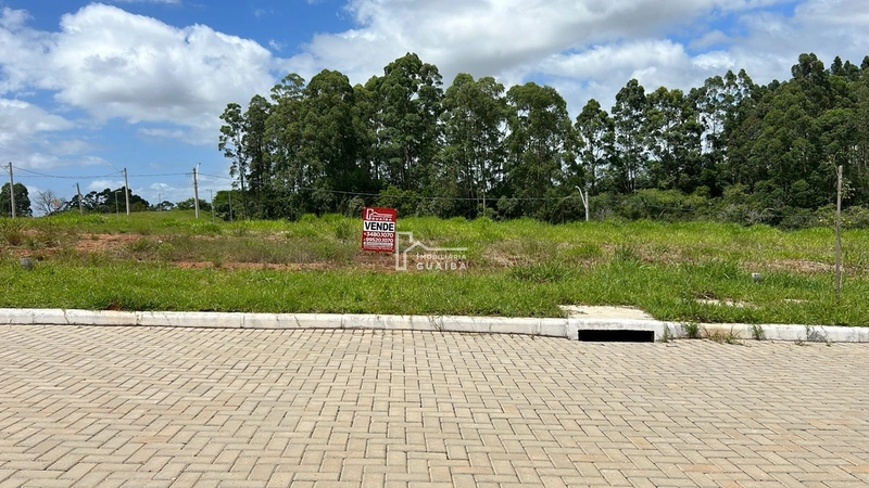 Bairro cercado de natureza!