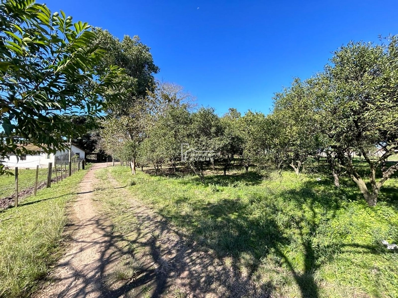 : 26ª foto da galeria de imagens do imóvel