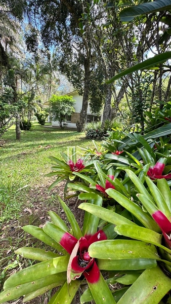 Casa à Venda no Condomínio Altos da Alegria: 25ª foto da galeria de imagens do imóvel